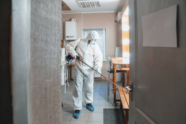 Wilmington Manor, DE Mold Removal Company